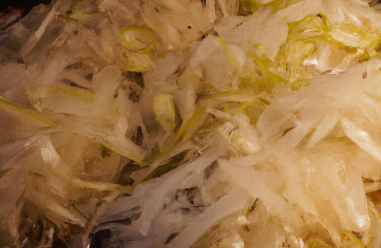 新中野エリアで発酵食の魅力を徒歩で巡る